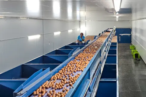 AGRISUL Processing Facility